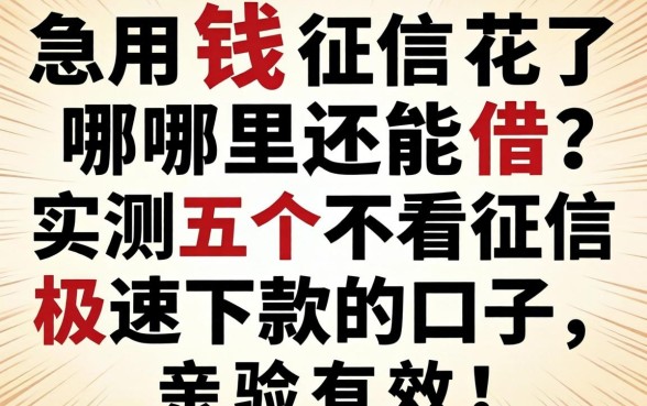 急用钱征信花了哪里还能借？实测五个不看征信极速下款的口子，亲测有效！