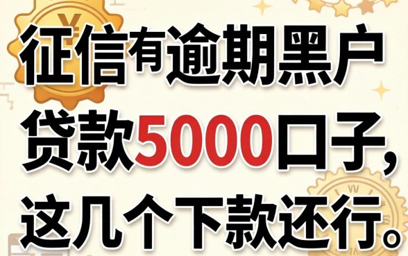 实测征信有逾期黑户能贷款5000的口子,这几个下款还行