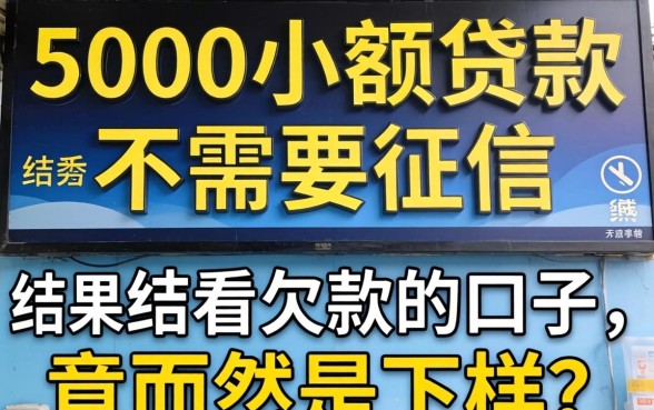 我借了5000小额贷款不需要征信,结果发现不看欠款的口子竟然是这样