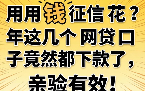 急用钱征信花?2026年这几个网贷口子竟然都下款了,亲测有效!