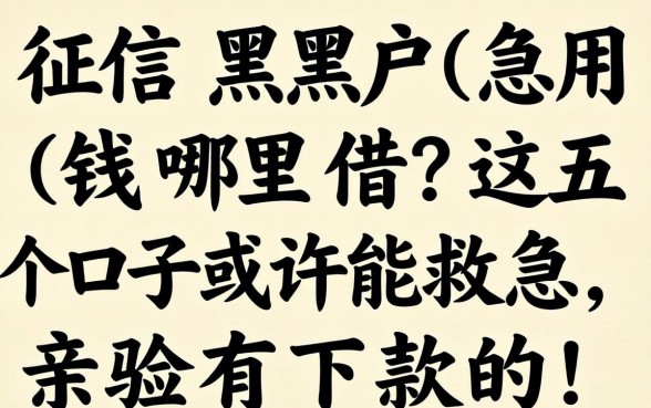 征信黑户急用钱哪里借?这五个口子或许能救急,亲测有下款的!