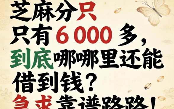 芝麻分只有600多，到底哪里还能借到钱？急求靠谱路子！