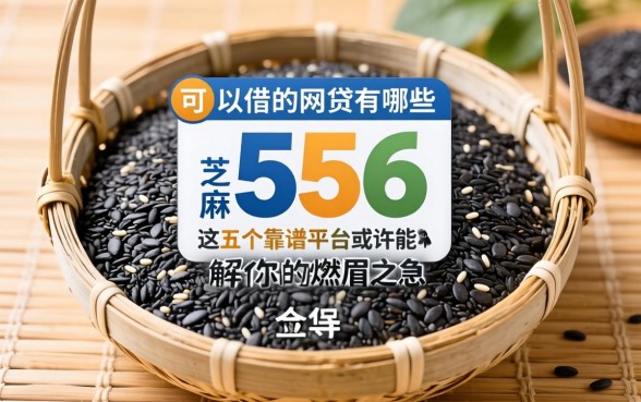 芝麻分656可以借的网贷有哪些?这五个靠谱平台或许能解你的燃眉之急