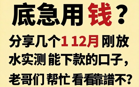 年底急用钱？分享几个12月刚放水实测能下款的口子，老哥们帮忙看看靠谱不？
