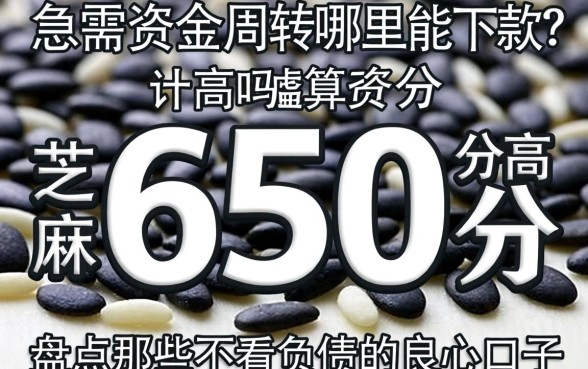芝麻分650分算高吗？急需资金周转哪里能下款？盘点那些不看负债的良心口子