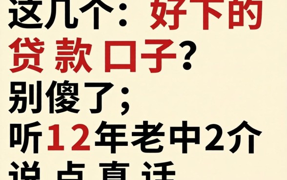 求几个好下的贷款口子？别傻了，听12年老中介说点真话