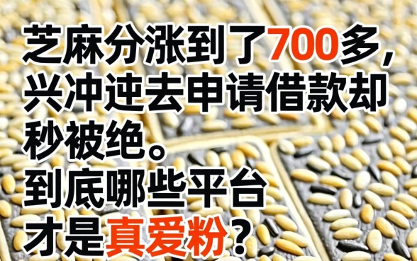 芝麻分涨到了700多，兴冲冲去申请借款却秒被拒，到底哪些平台才是真爱粉？