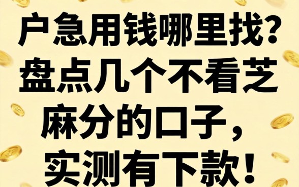 黑户急用钱哪里找？盘点几个不看芝麻分的口子，实测有下款！