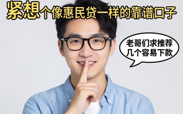 手头紧想找个像惠民贷一样的靠谱口子，老哥们求推荐几个容易下款的！