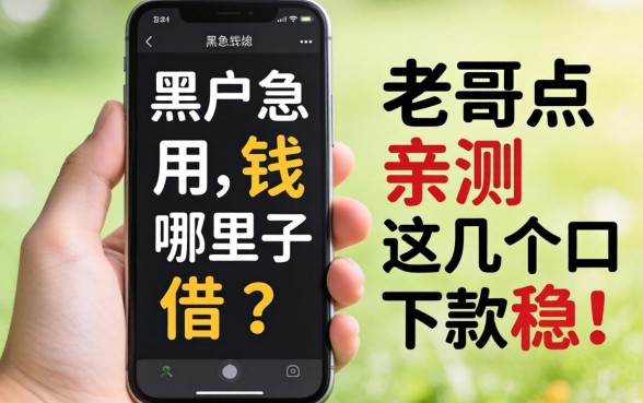 手机黑户急用钱哪里借？老哥亲测这几个口子下款稳！