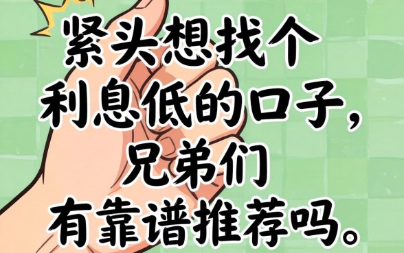 手头紧想找个利息低的口子,兄弟们有靠谱推荐吗?