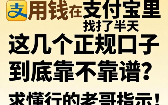 急用钱在支付宝里找了半天，这几个正规口子到底靠不靠谱？求懂行的老哥指点！