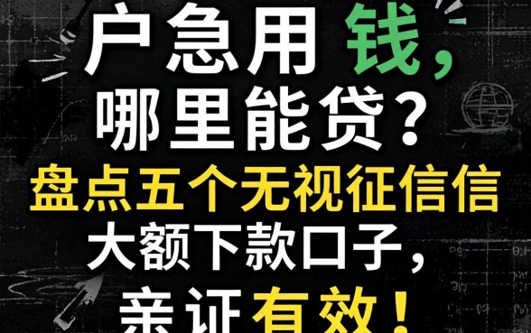 黑户急用钱哪里能贷？盘点五个无视征信大额下款口子，亲测有效！