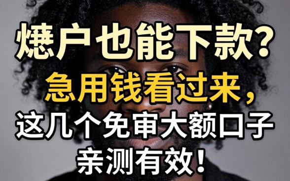 黑户也能下款？急用钱看过来，这几个免审大额口子亲测有效！
