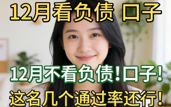 揭秘2026年12月不看负债的口子，这几个通过率还行