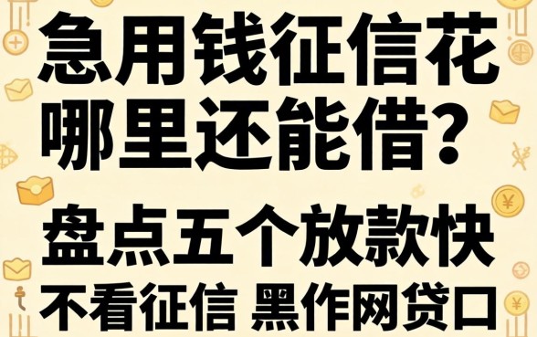 急用钱征信花哪里还能借？盘点五个放款快不看征信的黑户网贷口子