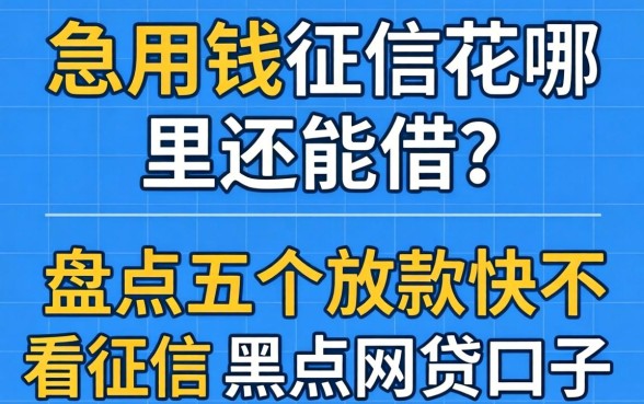 急用钱征信花哪里还能借？盘点五个放款快不看征信的黑户网贷口子