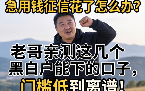 急用钱征信花了怎么办？老哥亲测这几个黑白户能下的口子，门槛低到离谱！