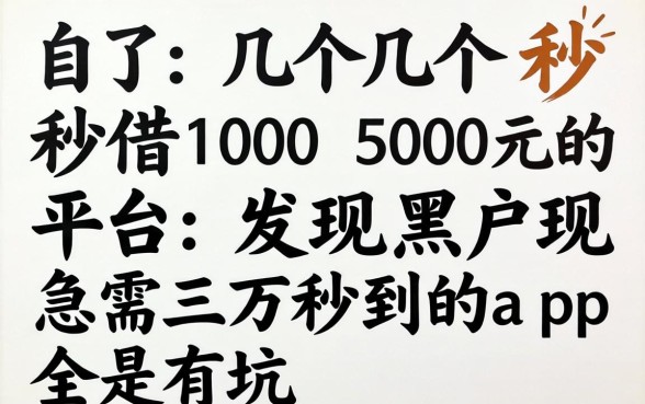 我试了几个秒借100 500元的平台,发现黑户急需三万秒到的app全是坑