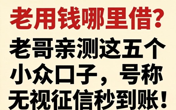 急用钱哪里借？老哥亲测这五个小众口子，号称无视征信秒到账！