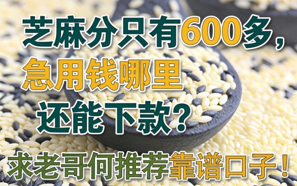 芝麻分只有600多，急用钱哪里还能下款？求老哥们推荐靠谱口子！
