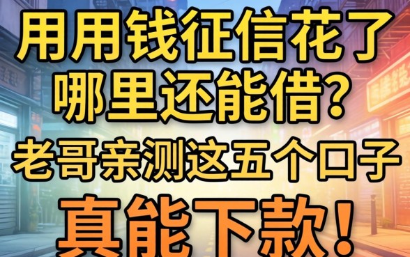 急用钱征信花了哪里还能借？老哥亲测这五个口子真能下款！