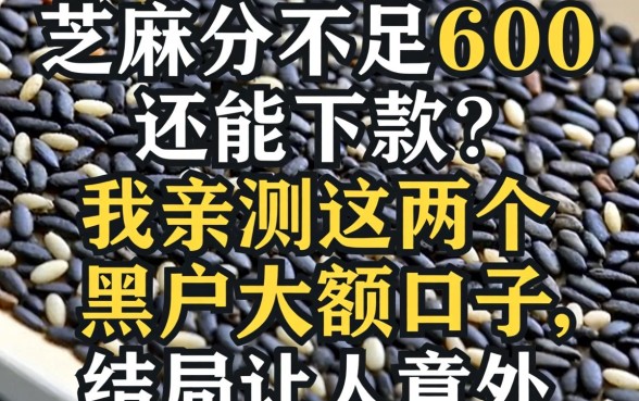 芝麻分不足600还能下款？我亲测这几个黑户大额口子，结局让人意外