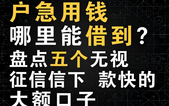 黑户急用钱哪里能借到?盘点五个无视征信下款快的大额口子