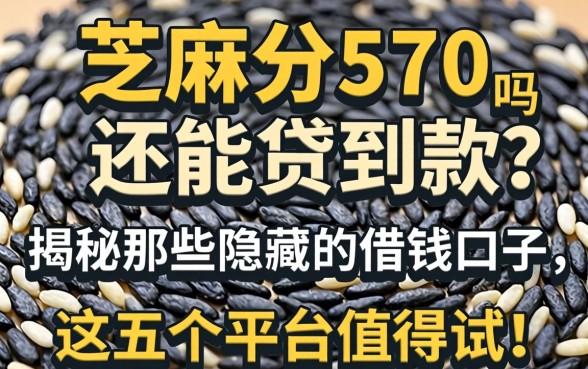 芝麻分570还能贷到款吗？揭秘那些隐藏的借钱口子，这五个平台值得试！