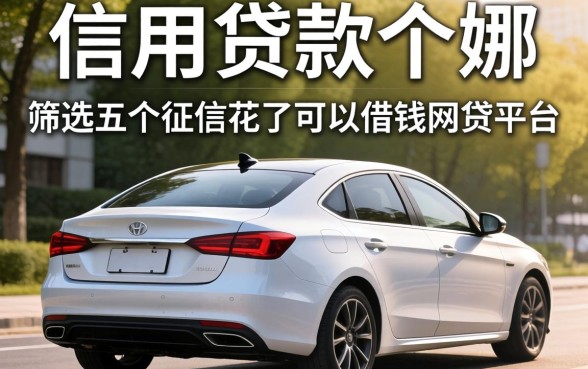 车主信用贷款哪家好,筛选五个征信花了可以借钱的网贷平台