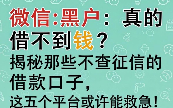 微信黑户真的借不到钱？揭秘那些不查征信的借款口子，这五个平台或许能救急！