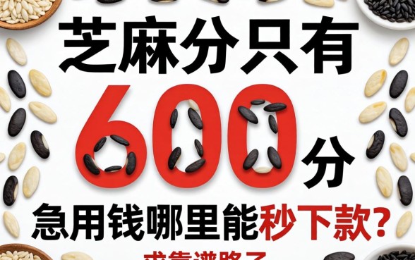 芝麻分只有600分，急用钱哪里能秒下款？求靠谱路子分享！