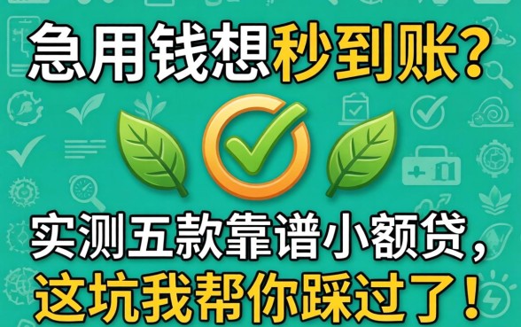 急用钱想秒到账？实测五款靠谱小额贷，这坑我帮你踩过了！