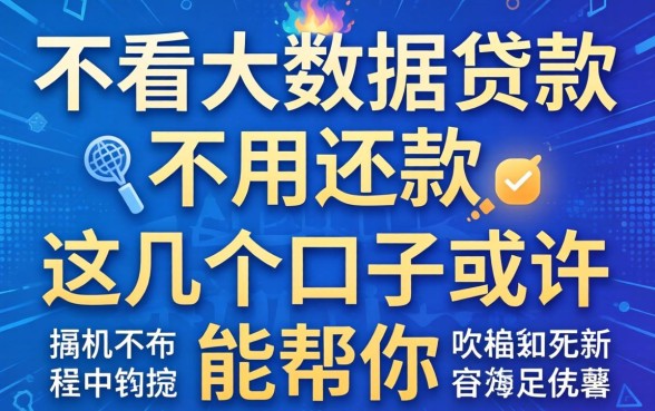 揭秘不看大数据贷款不用还款，这几个口子或许能帮你