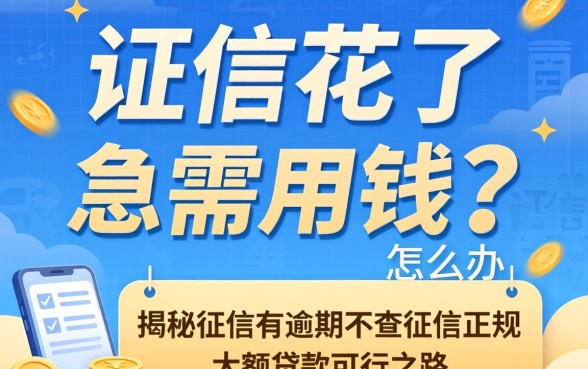 征信花了急需用钱怎么办？揭秘征信有逾期不查征信正规大额贷款的可行之路