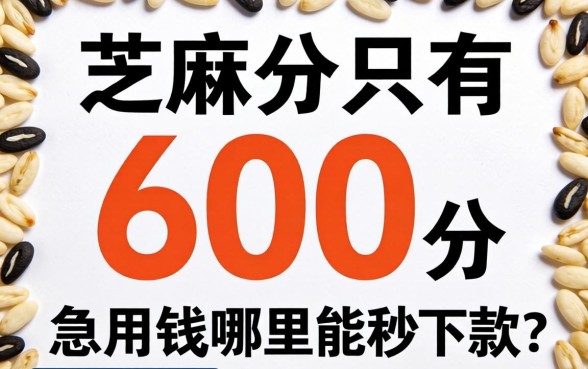 芝麻分只有600分，急用钱哪里能秒下款？求靠谱路子分享！