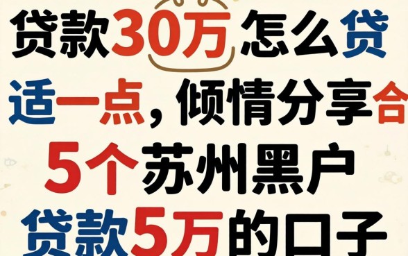 贷款30万怎么贷合适一点，倾情分享五个苏州黑户贷款5万的口子