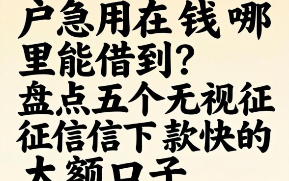 黑户急用钱哪里能借到?盘点五个无视征信下款快的大额口子