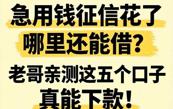 急用钱征信花了哪里还能借？老哥亲测这五个口子真能下款！