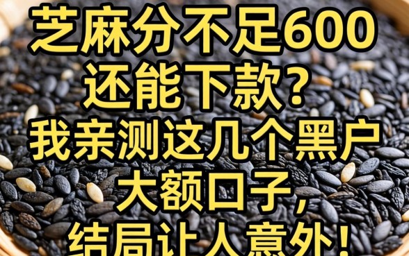 芝麻分不足600还能下款？我亲测这几个黑户大额口子，结局让人意外