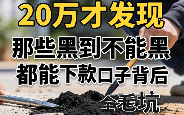 我借了20万才发现,那些黑到不能再黑都能下款的口子背后全是坑