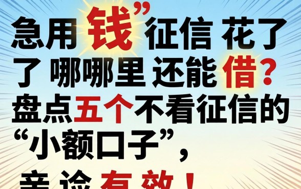 急用钱征信花了哪里还能借？盘点五个不看征信的小额口子，亲测有效！