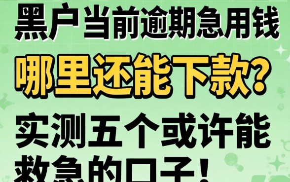 黑户当前逾期急用钱,哪里还能下款?实测五个或许能救急的口子!