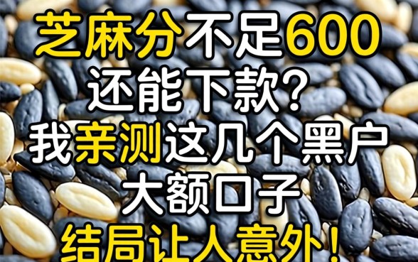 芝麻分不足600还能下款？我亲测这几个黑户大额口子，结局让人意外