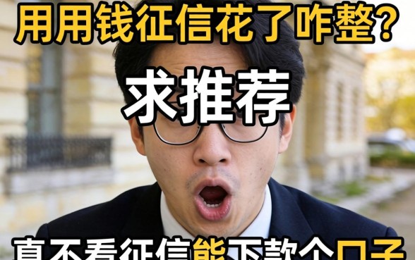 急用钱征信花了咋整?求推荐几个真不看征信能下款的口子!