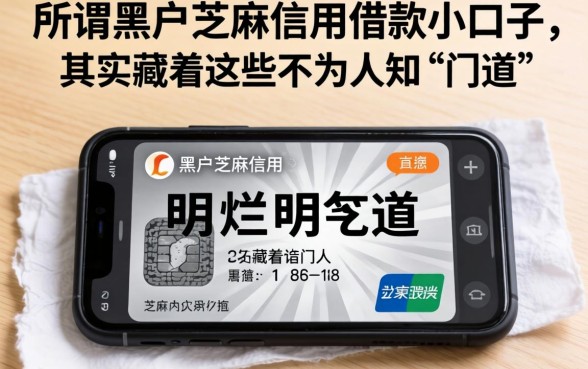 我翻烂了手机才明白,所谓黑户芝麻信用借款小口子,其实藏着这些不为人知的门道