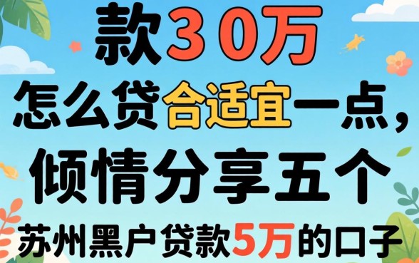 贷款30万怎么贷合适一点，倾情分享五个苏州黑户贷款5万的口子