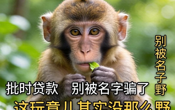 最容易批的贷款猴子：别被名字骗了，这玩意儿其实没那么野