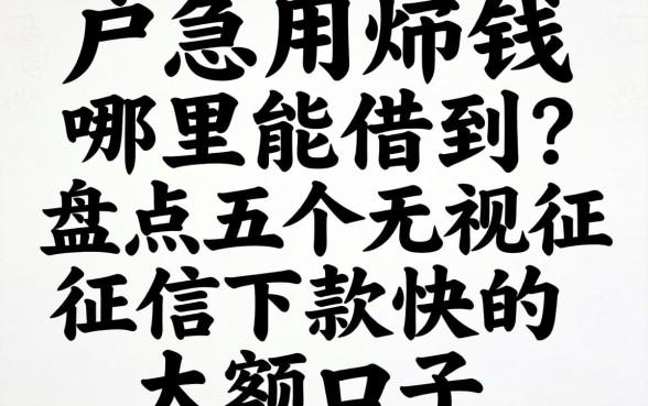 黑户急用钱哪里能借到?盘点五个无视征信下款快的大额口子