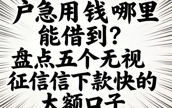 黑户急用钱哪里能借到?盘点五个无视征信下款快的大额口子